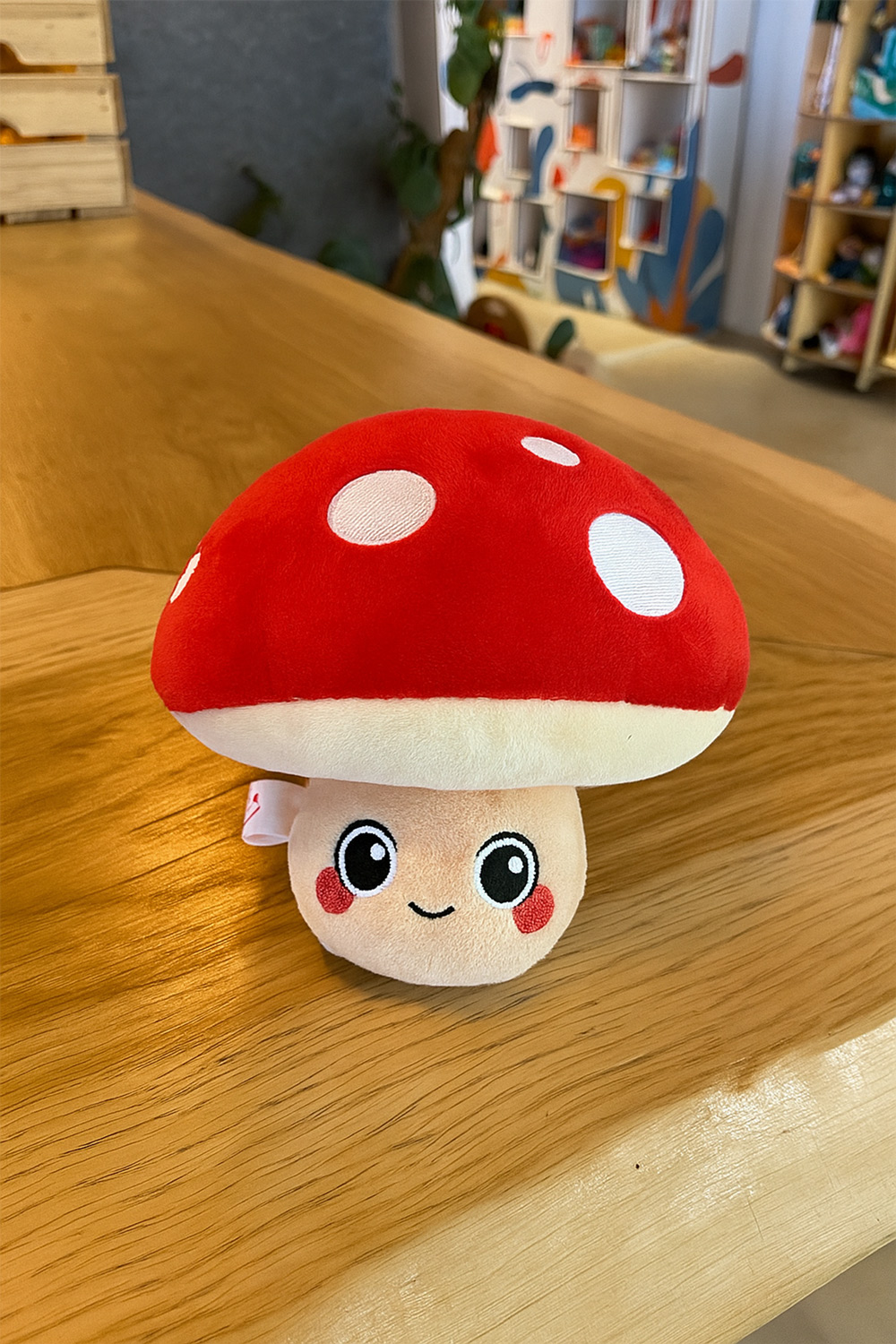 PELUCHE ANTI STRESS CHAMPIGNON SUR MESURE